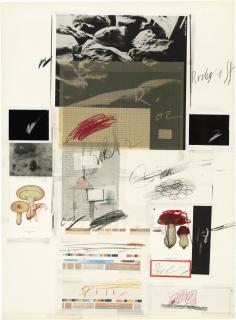 Cy Twombly - Plate X, from: Natural History Part I