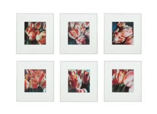 Cy Twombly - Tulips (III), no. 1-6