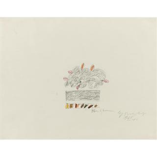 Cy Twombly - Untitled