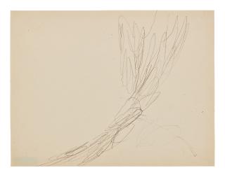Cy Twombly - Untitled