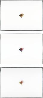 Cyprien Gaillard - Fields Of Rest