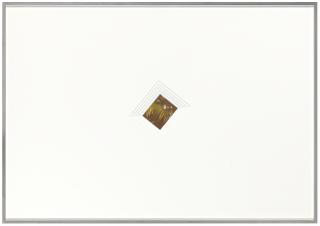 Cyprien Gaillard - Fields of Rest