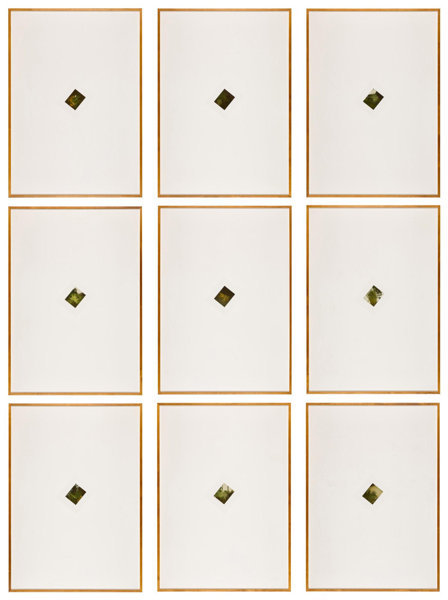 Cyprien Gaillard - Indian Palm Study I