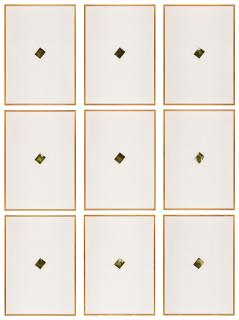 Cyprien Gaillard - Indian Palm Study I