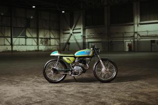 D*Face - Green Terror, 2015