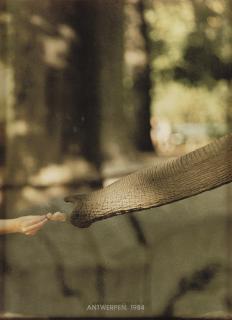 Daan van Golden - Antwerpen, 1984