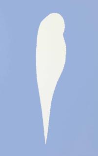 Daan Van Golden - Study H.M.