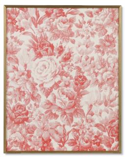 Daan van Golden - Untitled