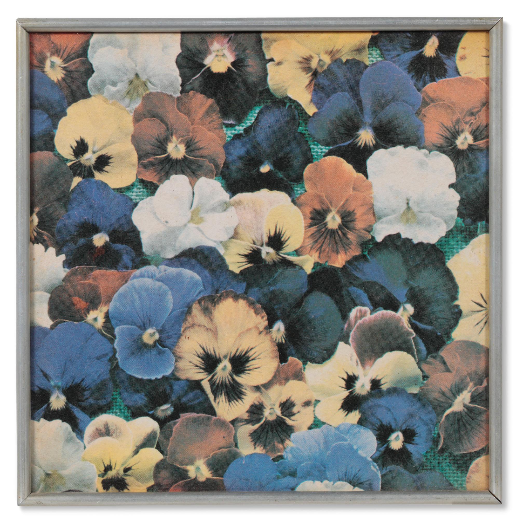 Daan Van Golden - Untitled