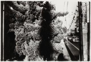 Daido Moriyama - A Journey to Nakaji \