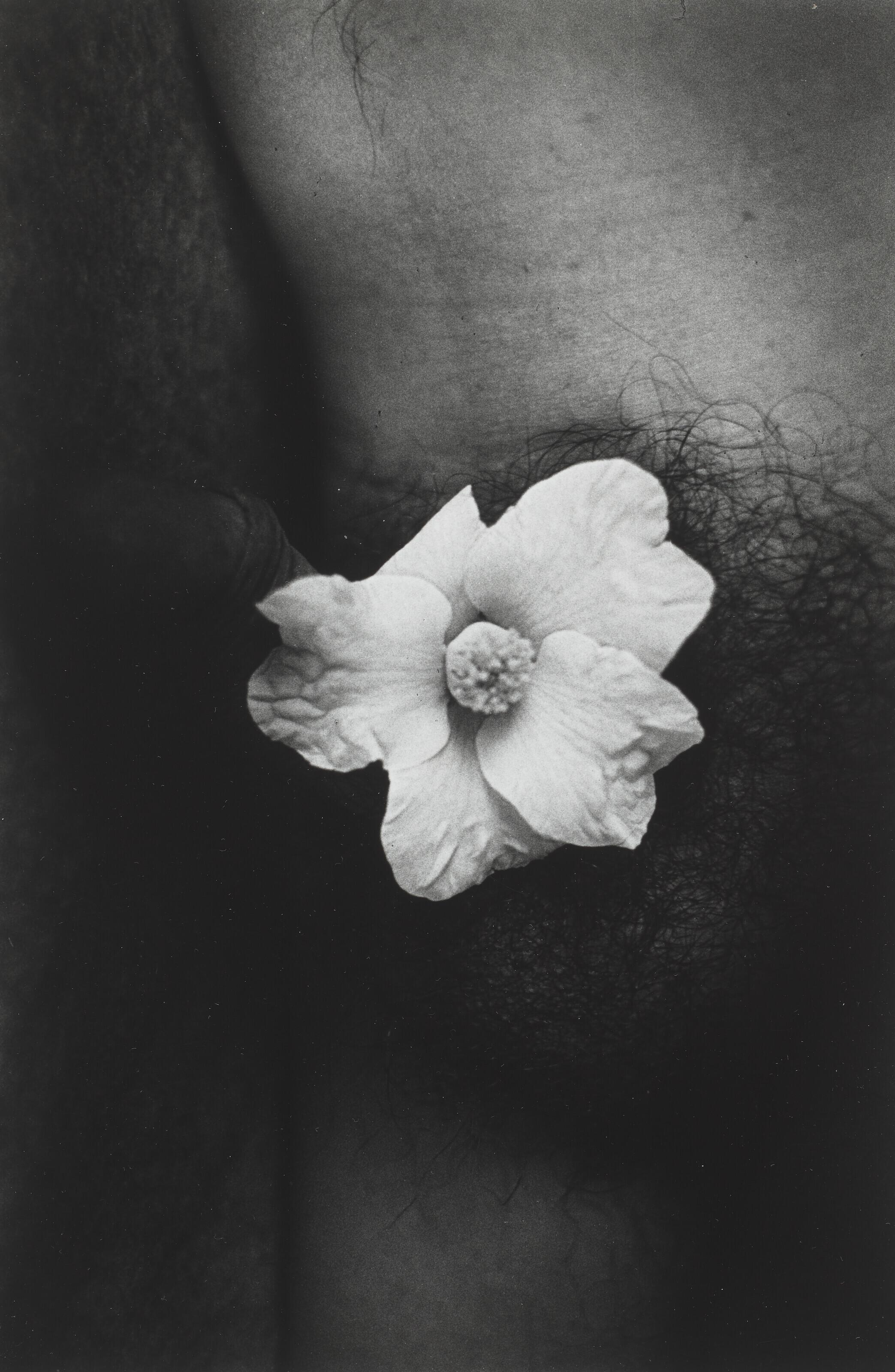 Daido Moriyama - Documentary 82, 1986