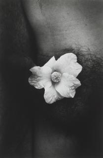 Daido Moriyama - Documentary 82, 1986