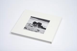 Daido Moriyama - La Mort En Ete, 2020