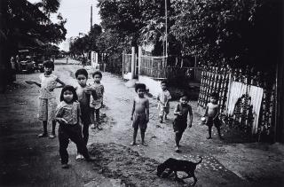 Daido Moriyama - Ohne Titel