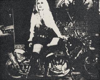 Daido Moriyama - Sans Titre (Brigitte Bardot), 1969