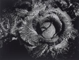 Daido Moriyama - WORK SHOP no. 6, 1976