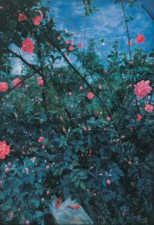 Daishan Wang - Garden Series No.4