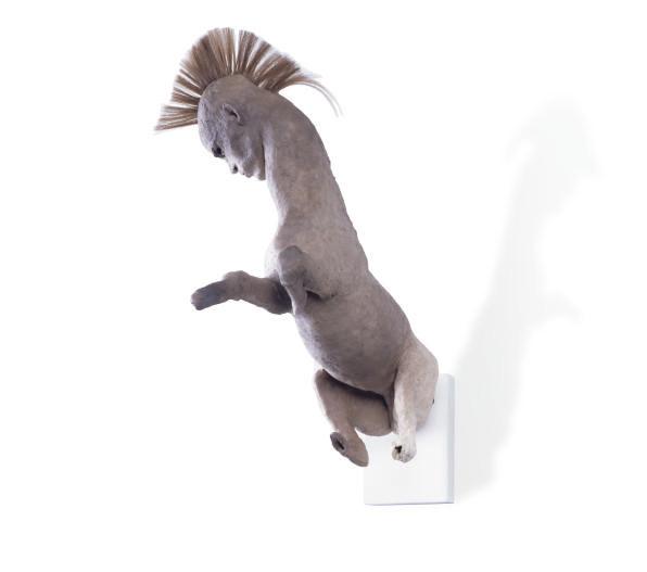 Daisy Youngblood - Centaur with a mohawk head