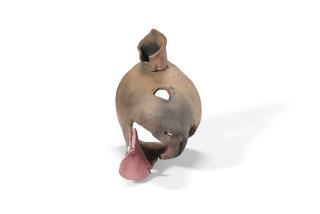 Daisy Youngblood - Small Dog\'S Head