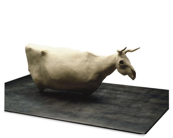 Daisy Youngblood - White cow