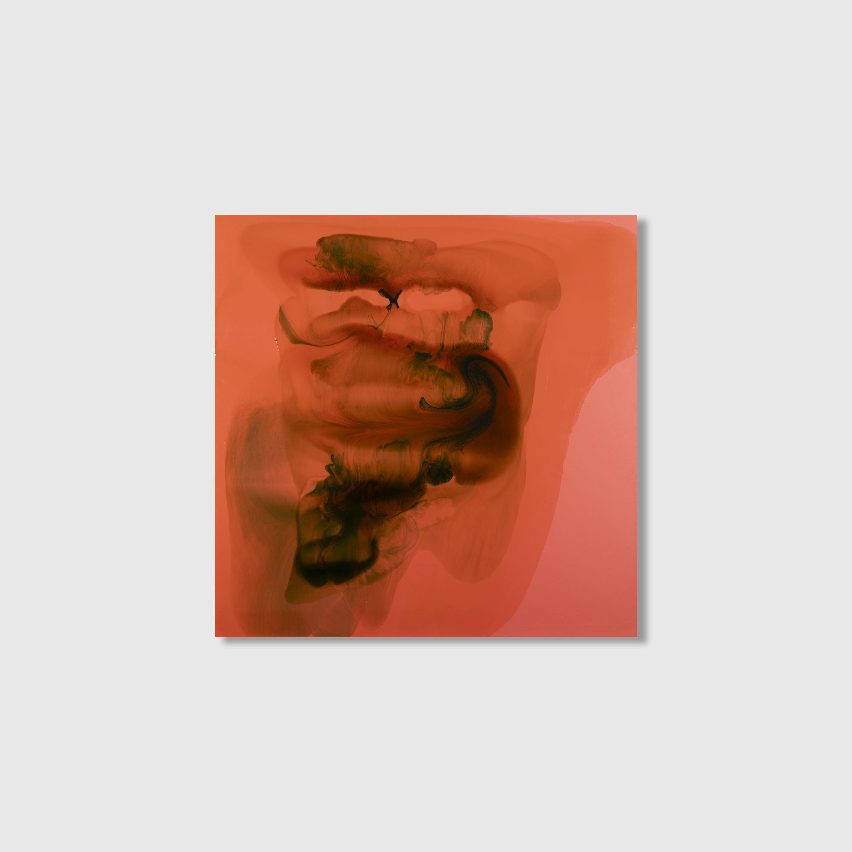 Dale Frank - Norman Reedus 3, 2002