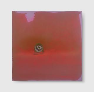 Dale Frank - Oyster, 1999