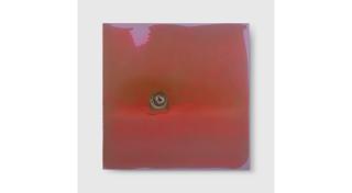 Dale Frank - Oyster, 1999