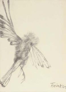 Dame Elisabeth Frink, R.A. - Bird