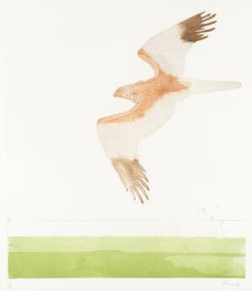 Dame Elisabeth Frink R.A. - Marsh Harrier, from \'Birds of Prey\'