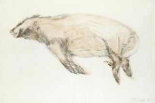 Dame Elisabeth Frink R.A. - Sleeping Badger
