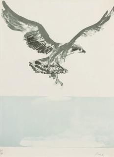 Dame Elisabeth Frink - Osprey, from Seabirds (Wiseman 91)
