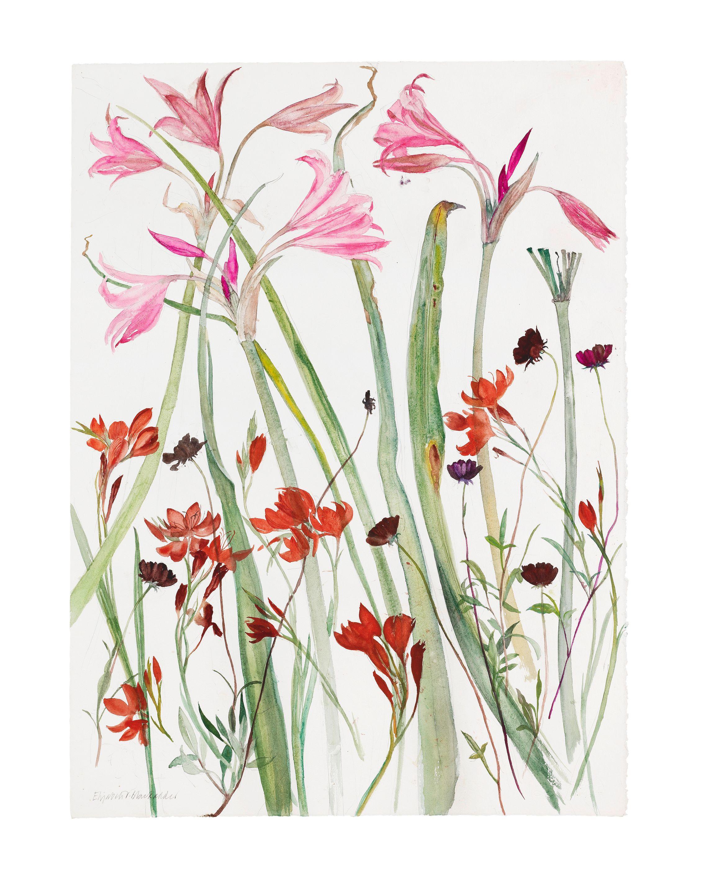 Dame Elizabeth Blackadder O.B.E., R.A., R.S.A., R.S.W., R.G.I., D.Litt - Lilies and Mixed Flowers
