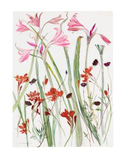 Dame Elizabeth Blackadder O.B.E., R.A., R.S.A., R.S.W., R.G.I., D.Litt - Lilies and Mixed Flowers