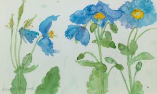 Dame Elizabeth Blackadder OBE RA RSA RSW RGI DLITT - Blue Poppies