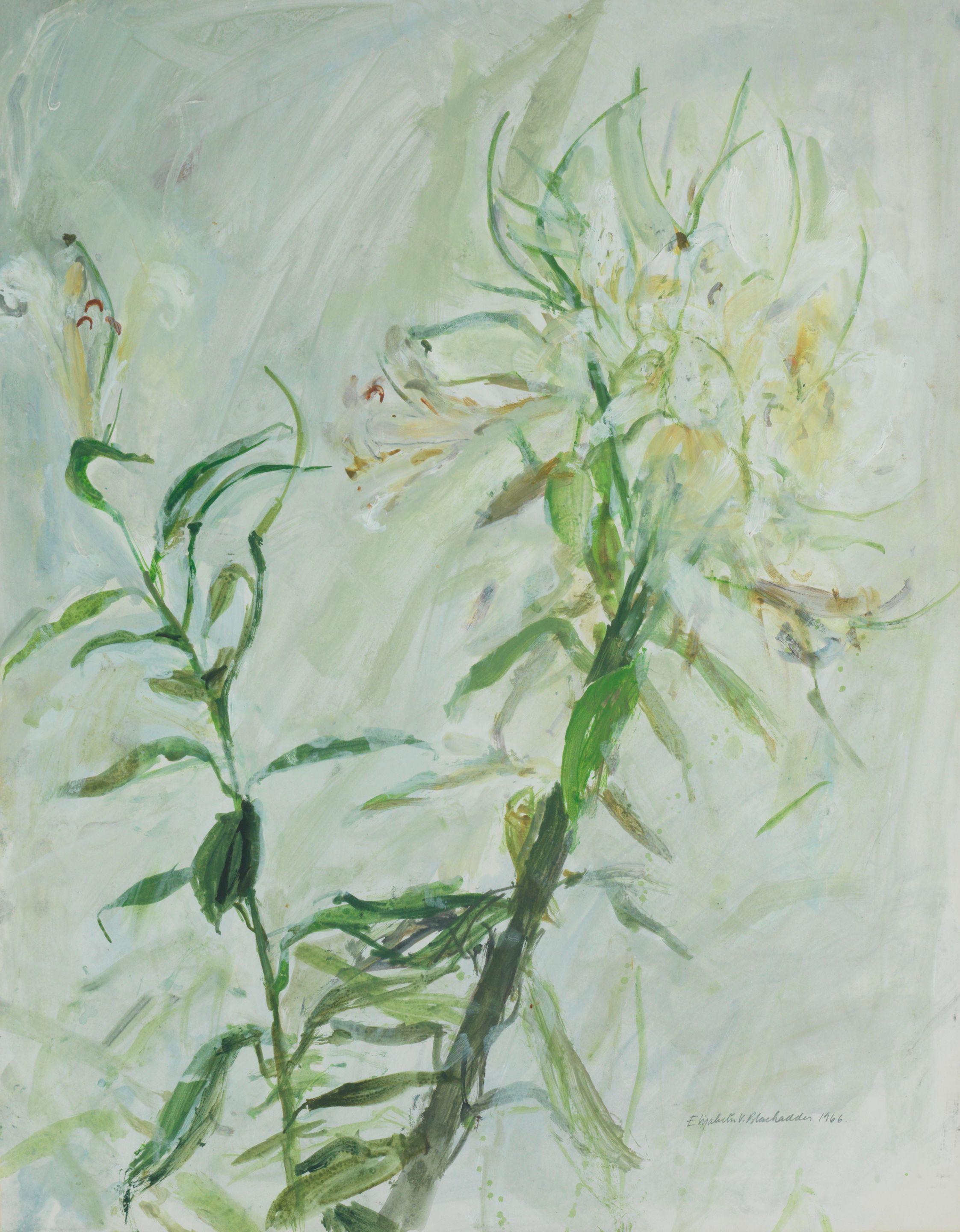 Dame Elizabeth Blackadder OBE RA RSA RSW RGI DLitt - Lilies