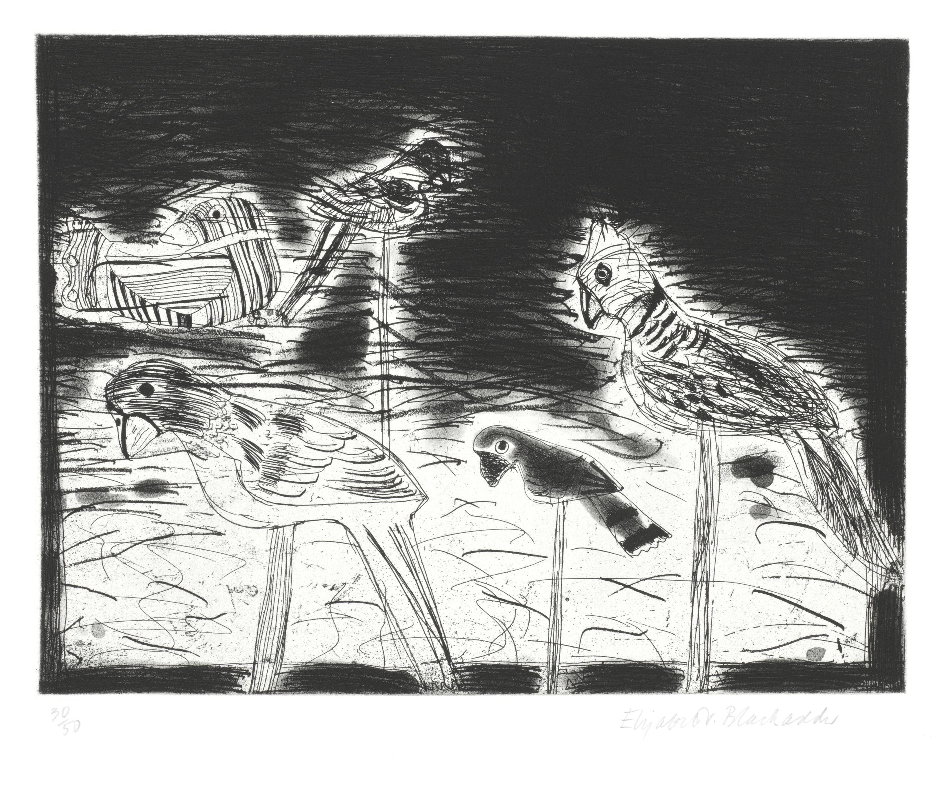 Dame Elizabeth Blackadder, OBE, RA - Parrots