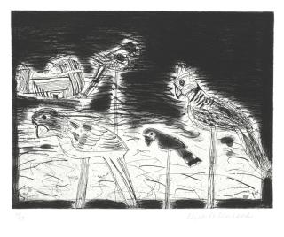 Dame Elizabeth Blackadder, OBE, RA - Parrots