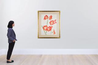 Dame Elizabeth Violet Blackadder, D.B.E., R.A., R.S.A., R.S.W - Amaryllis