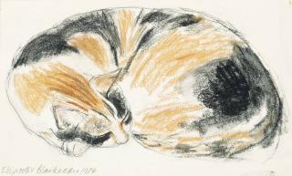 Dame Elizabeth Violet Blackadder, R.S.A., R.S.W. - Sleeping Cat