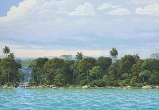 Damián González - Historia de la lluvia