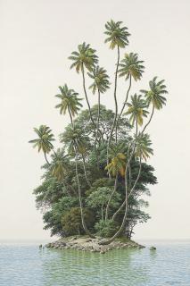 Damián González - Islote en la niebla