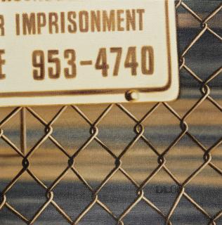 Damian Loeb - D-Mrnsc