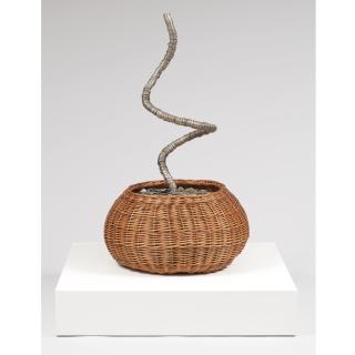 Damian Ortega - Cobra