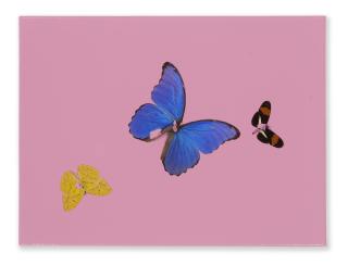 Damien Hirst - A Playful Bubblegum Kiss