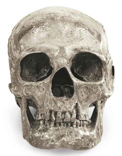 Damien Hirst - Abacus - The Dream Is Dead