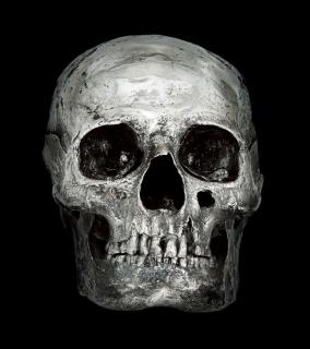 Damien Hirst - Abacus