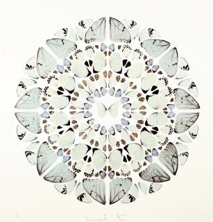 Damien Hirst - Aus Psalm Prints: Exaudi, Domine.