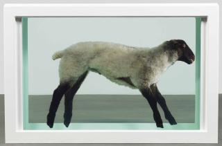 Damien Hirst - Away from the Flock