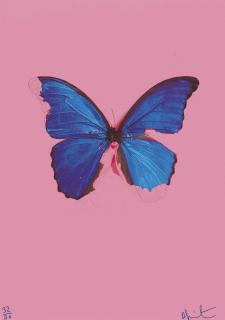 Damien Hirst - Blue Butterfly from: In the darkest hour there may be light