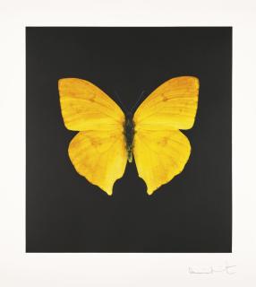 Damien Hirst - British the Souls On Jacob\'S Ladder Take Their Flight, 1